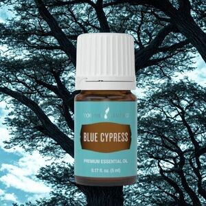 🌱NEW🌱 BLUE CYPRESS ESSENTIAL OIL 5ML BY YOUNG LIVING